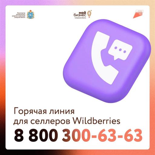 Пострадавшие продавцы Wildberries могут получить документ для подтверждения ущерба и получения мер господдержки