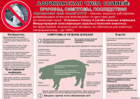 Ветеринарные правила содержания свиней в целях их воспроизводства, выращивания и реализации