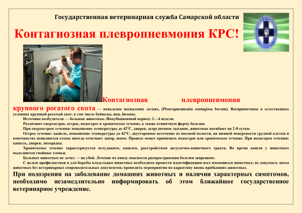 Памятки по болезням домашних животных