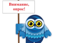 Опрос для участников СВО и членов их семей