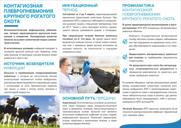 Контагиозная плевропневмония КРС и чума мелких жвачных животных