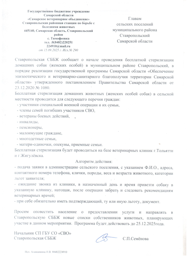 Бесплатная стерилизация домашних собак женских особей